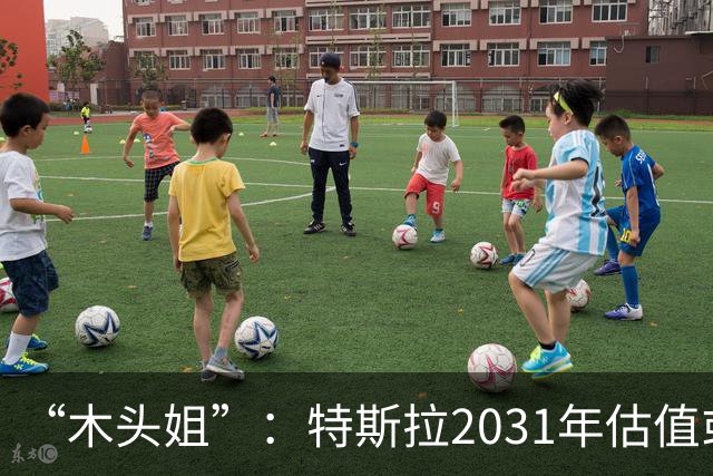 “木头姐”：特斯拉2031年估值或超20万亿美元，SpaceX与特斯拉或在5年内合并