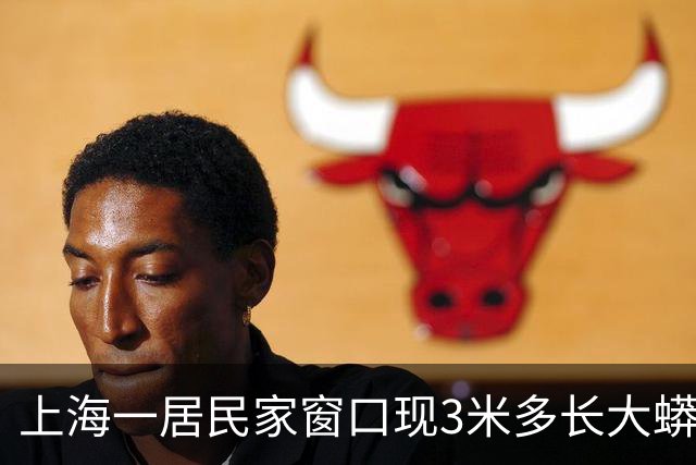 上海一居民家窗口现3米多长大蟒蛇，消防员到场处置