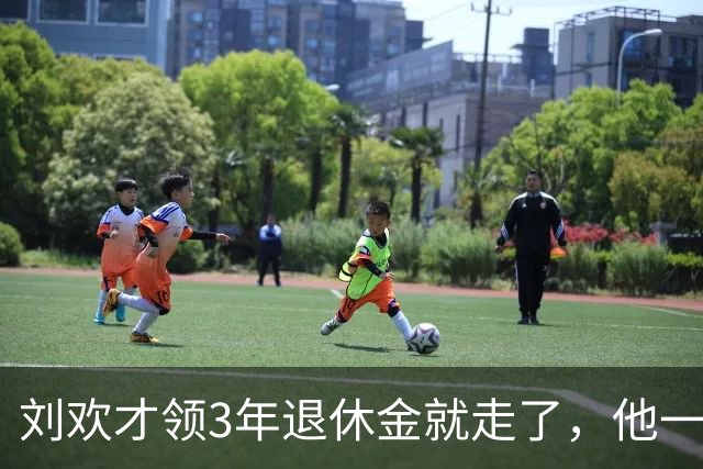 刘欢才领3年退休金就走了，他一个月到底能领多少钱？
