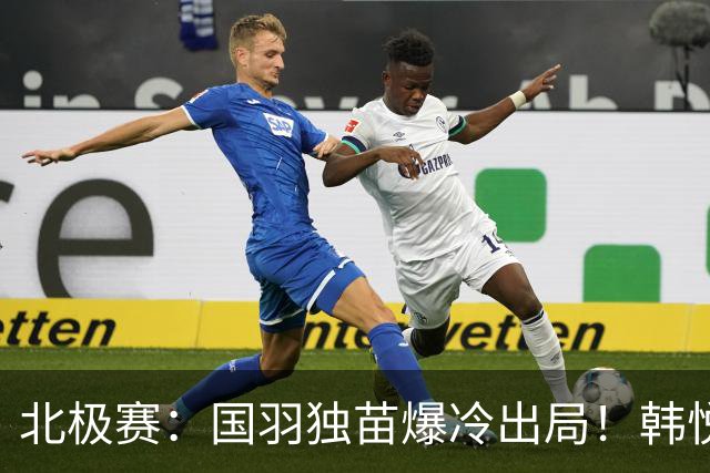北极赛：国羽独苗爆冷出局！韩悦0-2米娅，交手4连胜戛然而止