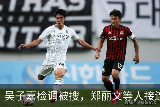 吴子嘉检调被搜，郑丽文等人接连声援，徐欣莹的表态才是重中之重