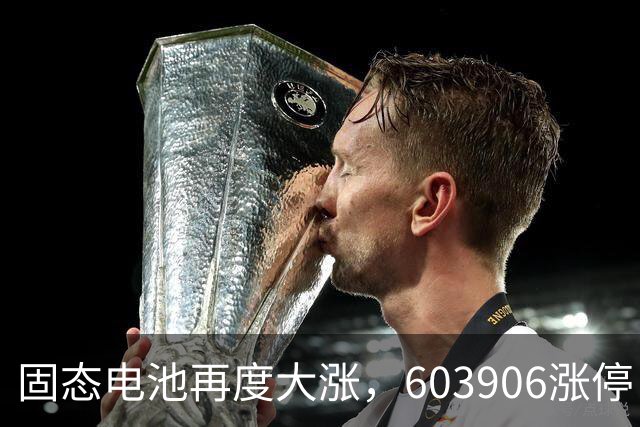 固态电池再度大涨，603906涨停