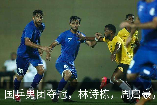 国乒男团夺冠，林诗栋，周启豪，向鹏各拿1分
