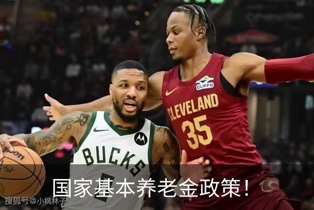 国家基本养老金政策！