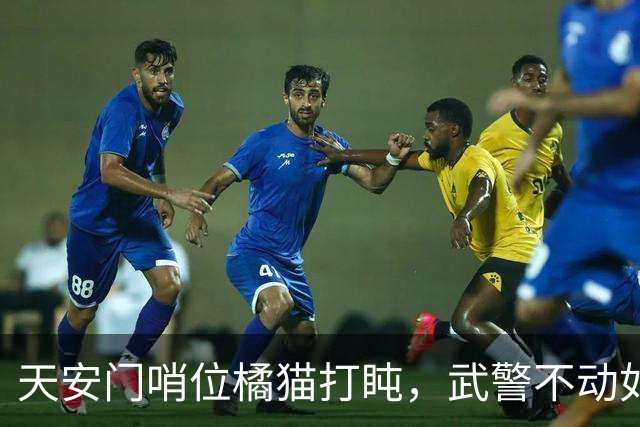 天安门哨位橘猫打盹，武警不动如山暖哭全网