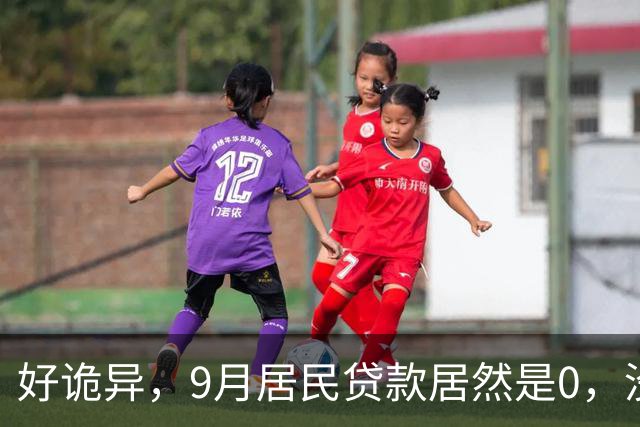 好诡异，9月居民贷款居然是0，没人贷款了吗？