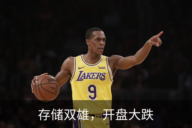 存储双雄，开盘大跌