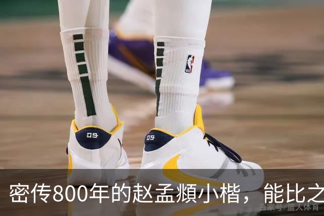 密传800年的赵孟頫小楷，能比之《灵飞经》，因太珍贵曾一度禁止展出！