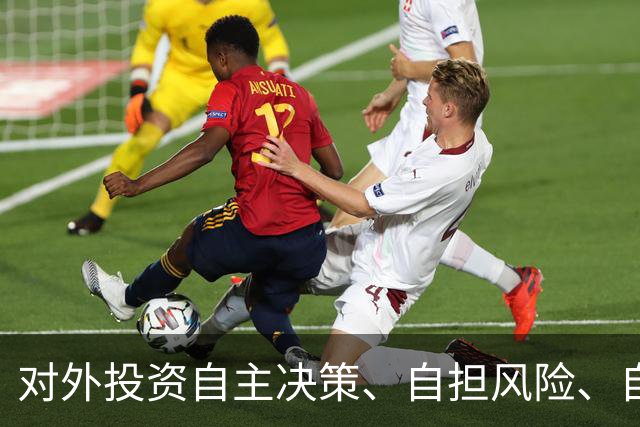 对外投资自主决策、自担风险、自负盈亏