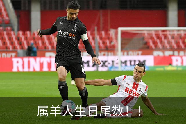 属羊人生日尾数！！