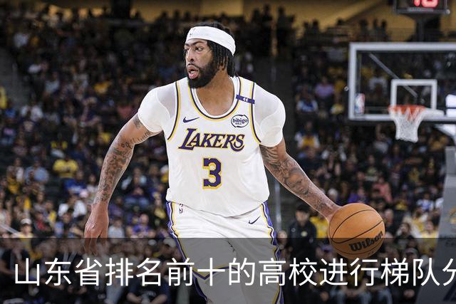 山东省排名前十的高校进行梯队分析