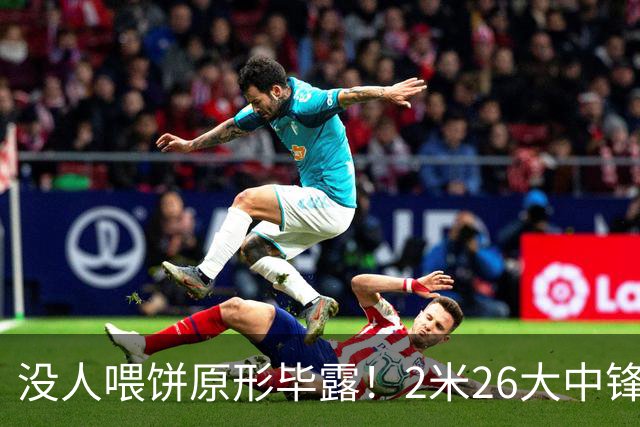 没人喂饼原形毕露！2米26大中锋仅5分2板，球迷：杜锋真没骂错你