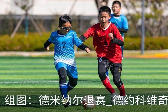 组图：德米纳尔退赛 德约科维奇夺中网第七冠