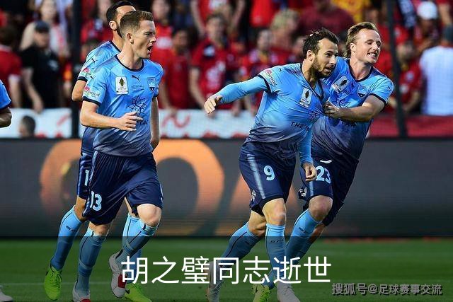 胡之璧同志逝世