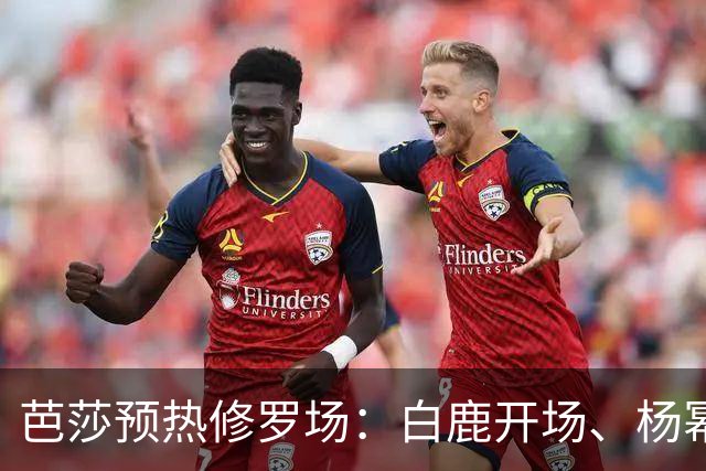 芭莎预热修罗场：白鹿开场、杨幂压轴，85/90/95 三代花同台，高定还要自费卷？