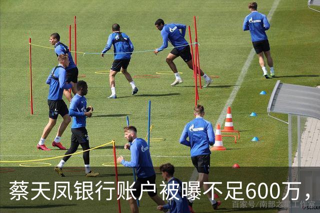 蔡天凤银行账户被曝不足600万，房产已抵押，蔡母称亲家给了三亿