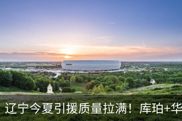 辽宁今夏引援质量拉满！库珀+华子场均42分，克里斯也能稳内线！