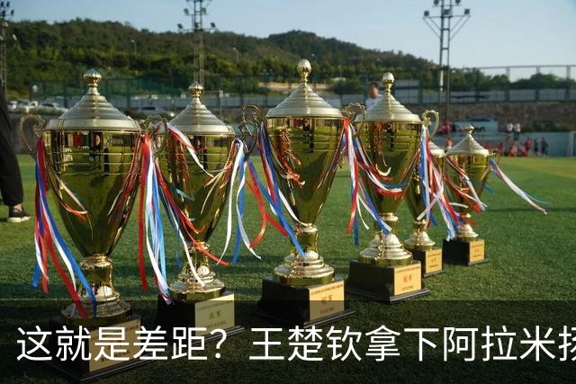 这就是差距？王楚钦拿下阿拉米扬后日媒一针见血点破张本惨败根因