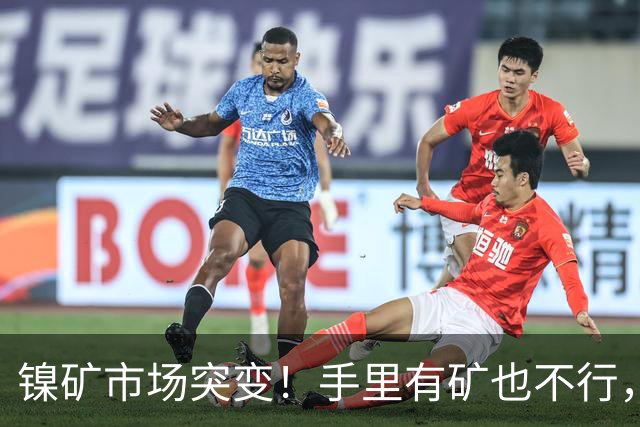 镍矿市场突变！手里有矿也不行，外媒：印尼“抄作业”翻车了！