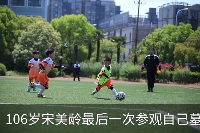 106岁宋美龄最后一次参观自己墓园：数度落泪，坦言“痛恨政治”