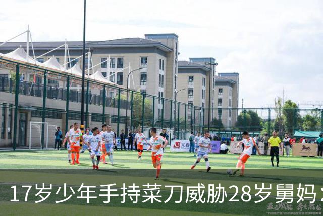 17岁少年手持菜刀威胁28岁舅妈：“让我睡一次，不然死给你看！”